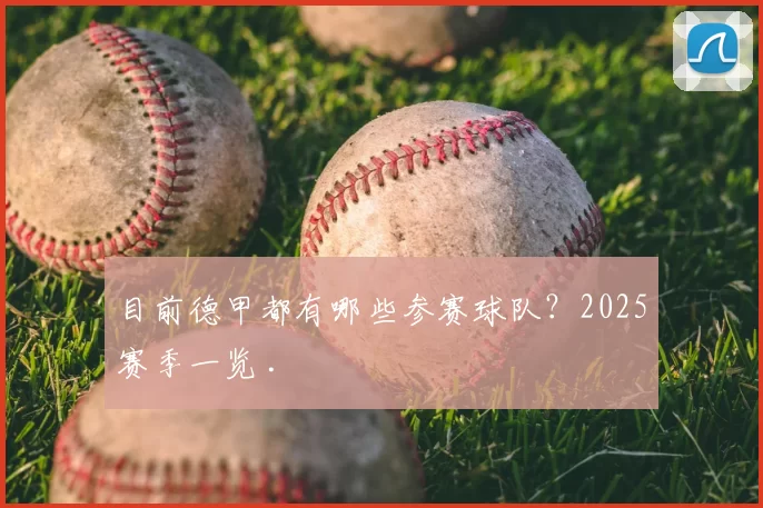 目前德甲都有哪些参赛球队？2025赛季一览 .