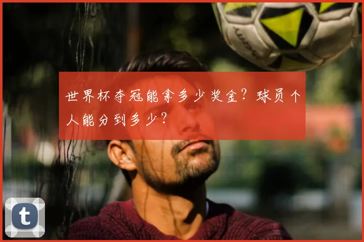 世界杯夺冠能拿多少奖金？球员个人能分到多少？