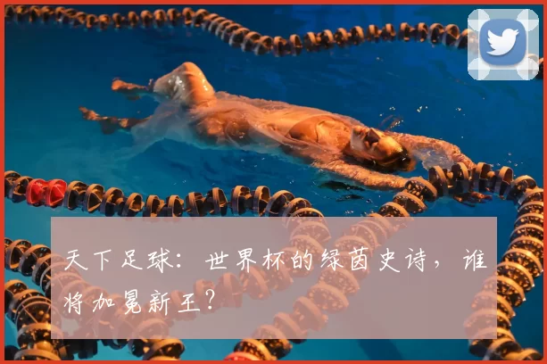 天下足球:世界杯的绿茵史诗,谁将加冕新王?