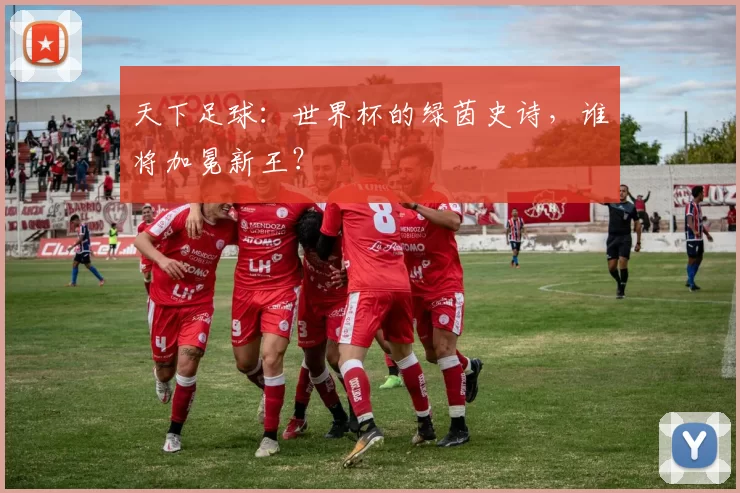 天下足球:世界杯的绿茵史诗,谁将加冕新王?
