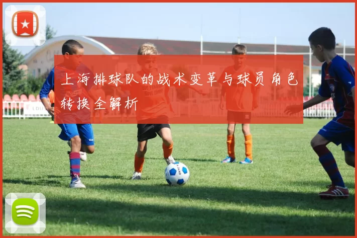 上海排球队的战术变革与球员角色转换全解析