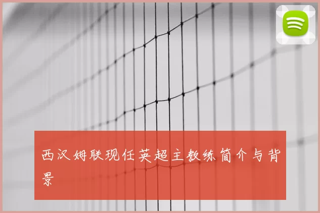 西汉姆联现任英超主教练简介与背景
