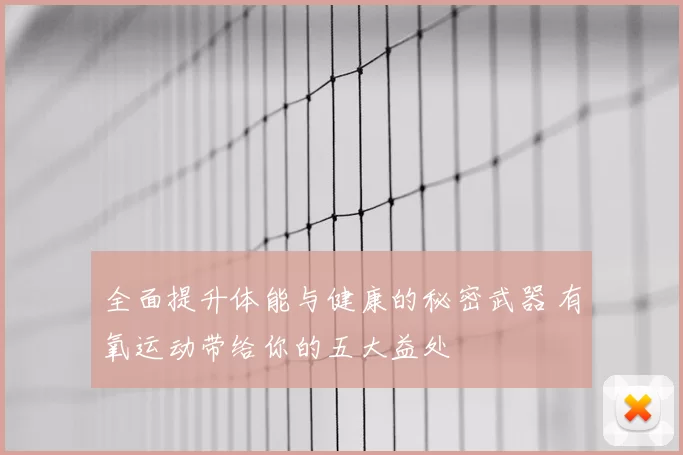 全面提升体能与健康的秘密武器 有氧运动带给你的五大益处