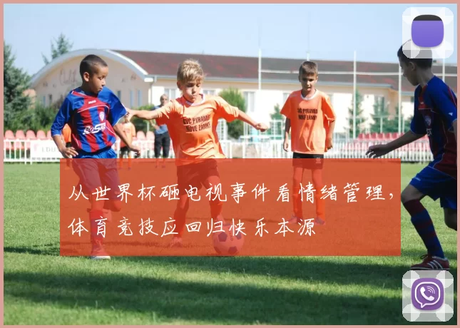从世界杯砸电视事件看情绪管理,体育竞技应回归快乐本源