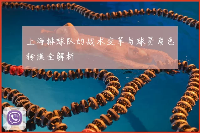 上海排球队的战术变革与球员角色转换全解析