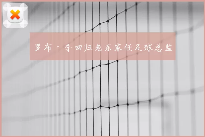 罗布·李回归老东家任足球总监