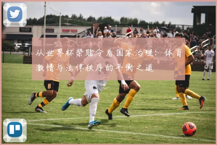 从世界杯禁赌令看国家治理:体育激情与法律秩序的平衡之道