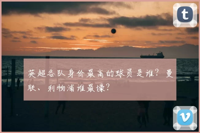 英超各队身价最高的球员是谁？曼联、利物浦谁最壕？