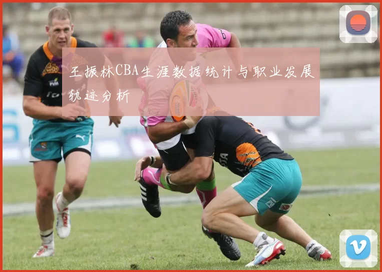 王振林CBA生涯数据统计与职业发展轨迹分析