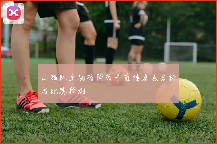 山猫队主场对阵对手直播看点分析与比赛预测